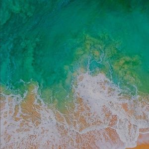 Meet your Posher, Taryn